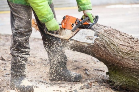 Abattage d'arbres &agrave; Aizy-Jouy : techniques s&eacute;curis&eacute;es et professionnelles