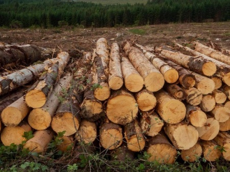 Domaines forestiers priv&eacute;s pr&egrave;s de Soissons, en quoi consistent les travaux sylvicoles ?