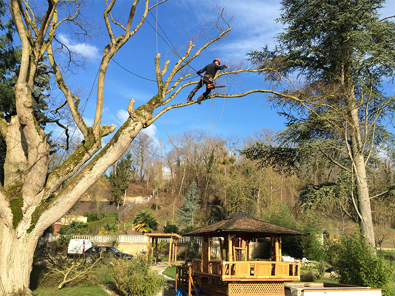 Élagage et abattage d'arbre dans la ville de Lanton